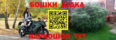 сатива Шелехов