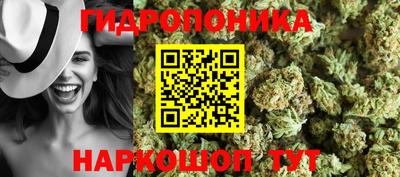 сатива Шелехов