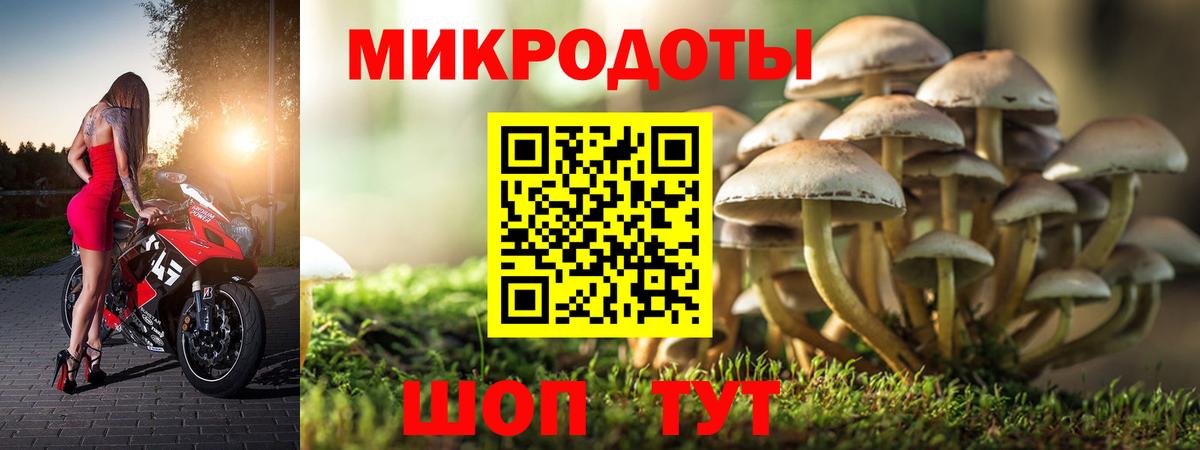 Галлюциногенные грибы Magic Shrooms  Вход с VPN  где купить наркоту  Краснодар 